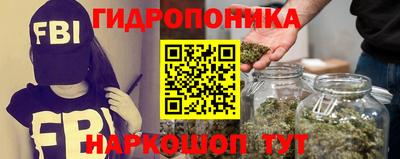 a pvp Ачхой-Мартан